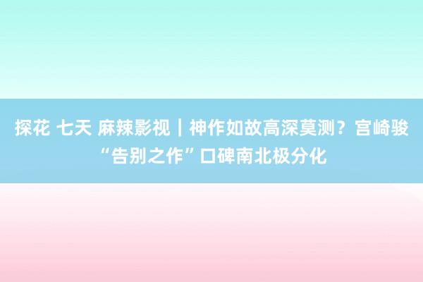 探花 七天 麻辣影视｜神作如故高深莫测？宫崎骏“告别之作”口碑南北极分化