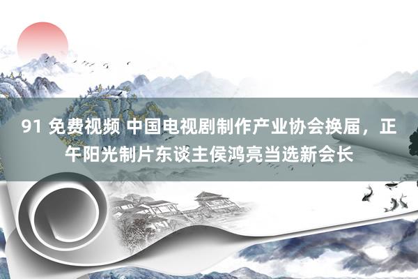 91 免费视频 中国电视剧制作产业协会换届，正午阳光制片东谈主侯鸿亮当选新会长