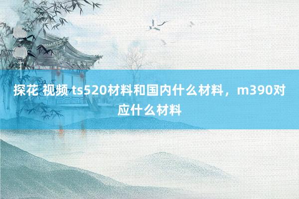 探花 视频 ts520材料和国内什么材料，m390对应什么材料