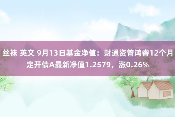 丝袜 英文 9月13日基金净值：财通资管鸿睿12个月定开债A最新净值1.2579，涨0.26%