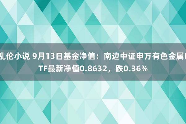 乱伦小说 9月13日基金净值：南边中证申万有色金属ETF最新净值0.8632，跌0.36%