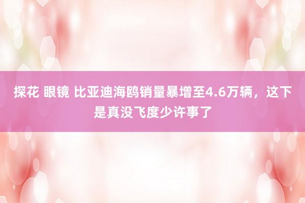 探花 眼镜 比亚迪海鸥销量暴增至4.6万辆，这下是真没飞度少许事了