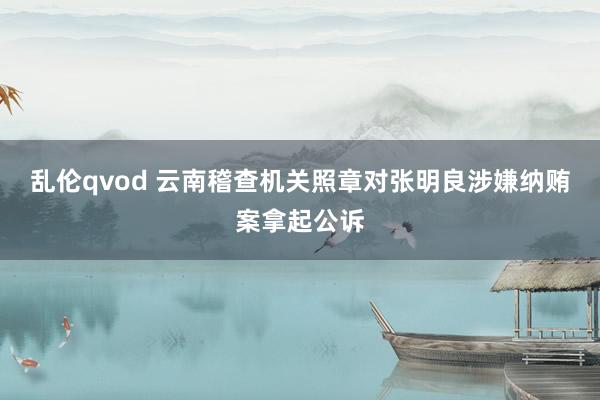 乱伦qvod 云南稽查机关照章对张明良涉嫌纳贿案拿起公诉