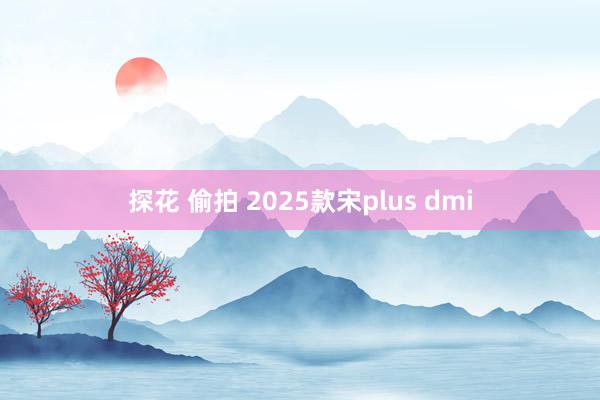 探花 偷拍 2025款宋plus dmi