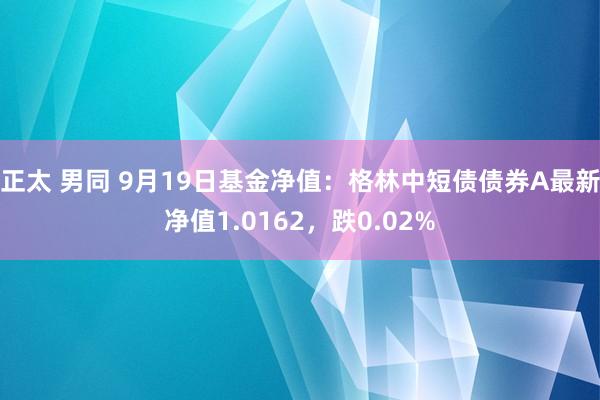 正太 男同 9月19日基金净值：格林中短债债券A最新净值1.0162，跌0.02%