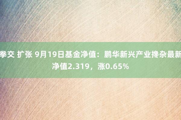 拳交 扩张 9月19日基金净值：鹏华新兴产业搀杂最新净值2.319，涨0.65%