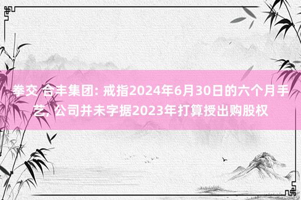 拳交 合丰集团: 戒指2024年6月30日的六个月手艺， 公司并未字据2023年打算授出购股权