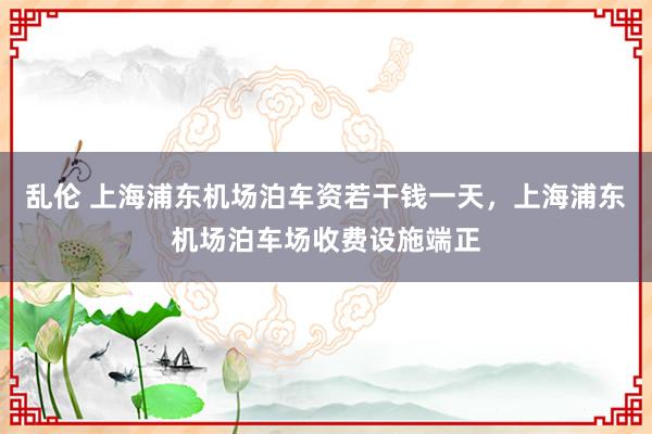 乱伦 上海浦东机场泊车资若干钱一天，上海浦东机场泊车场收费设施端正