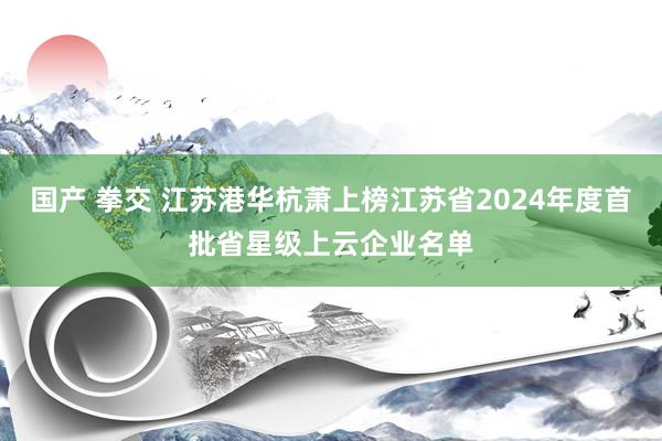 国产 拳交 江苏港华杭萧上榜江苏省2024年度首批省星级上云企业名单