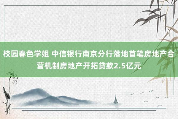 校园春色学姐 中信银行南京分行落地首笔房地产合营机制房地产开拓贷款2.5亿元