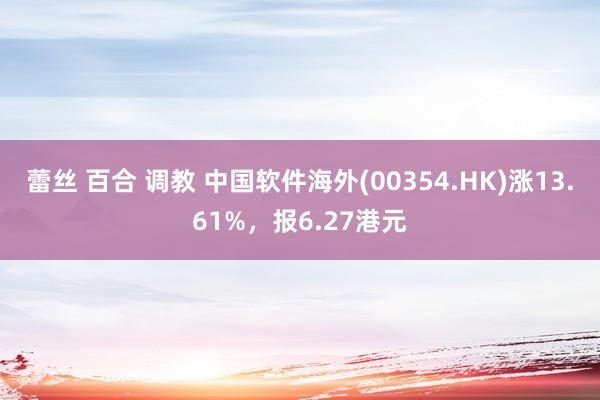 蕾丝 百合 调教 中国软件海外(00354.HK)涨13.61%，报6.27港元