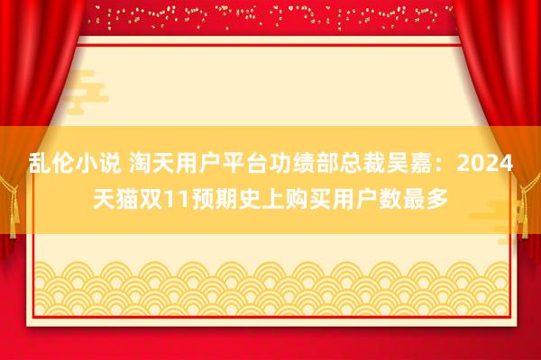 乱伦小说 淘天用户平台功绩部总裁吴嘉：2024天猫双11预期史上购买用户数最多