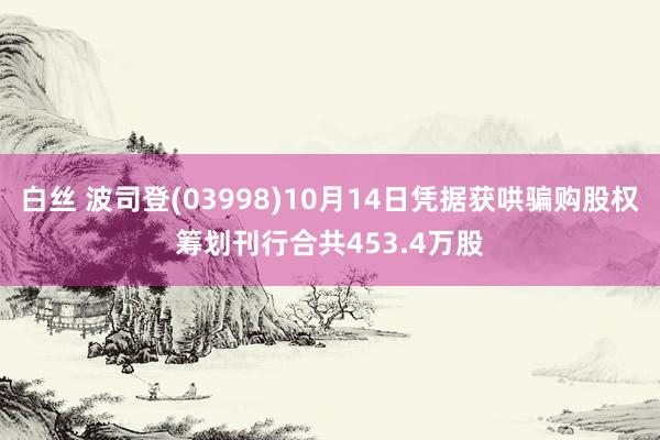 白丝 波司登(03998)10月14日凭据获哄骗购股权筹划刊行合共453.4万股