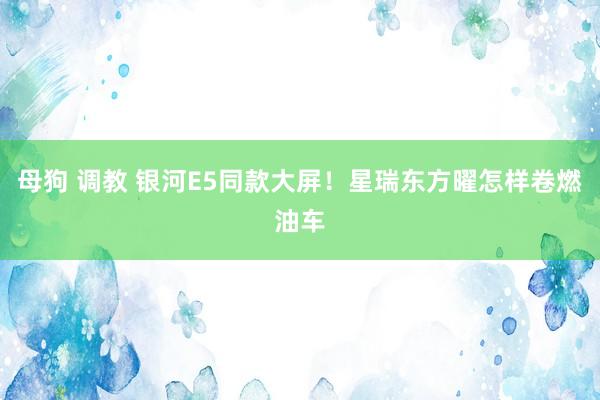 母狗 调教 银河E5同款大屏！星瑞东方曜怎样卷燃油车