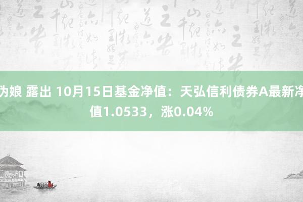 伪娘 露出 10月15日基金净值：天弘信利债券A最新净值1.0533，涨0.04%