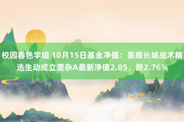 校园春色学姐 10月15日基金净值：景顺长城战术精选生动成立混杂A最新净值2.85，跌2.76%