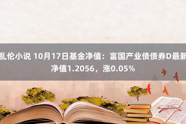 乱伦小说 10月17日基金净值：富国产业债债券D最新净值1.2056，涨0.05%