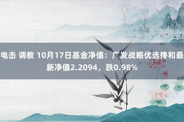 电击 调教 10月17日基金净值：广发战略优选搀和最新净值2.2094，跌0.98%