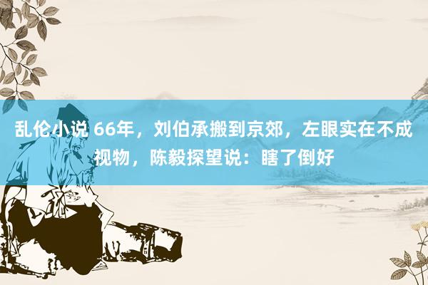 乱伦小说 66年，刘伯承搬到京郊，左眼实在不成视物，陈毅探望说：瞎了倒好