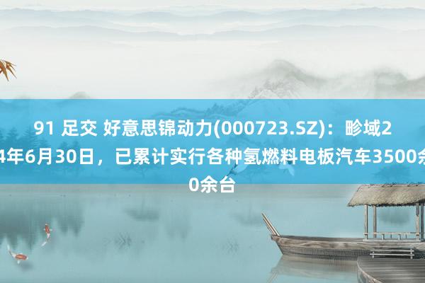 91 足交 好意思锦动力(000723.SZ)：畛域2024年6月30日，已累计实行各种氢燃料电板汽车3500余台