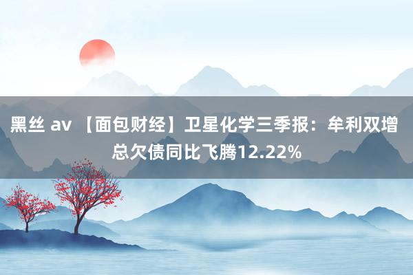 黑丝 av 【面包财经】卫星化学三季报：牟利双增 总欠债同比飞腾12.22%