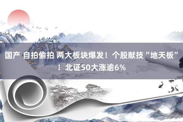 国产 自拍偷拍 两大板块爆发！个股献技“地天板”！北证50大涨逾6%