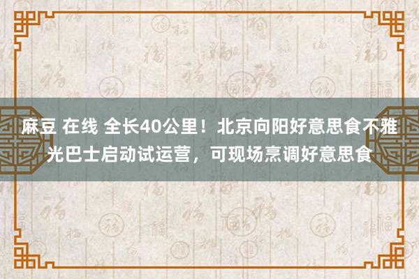 麻豆 在线 全长40公里！北京向阳好意思食不雅光巴士启动试运营，可现场烹调好意思食