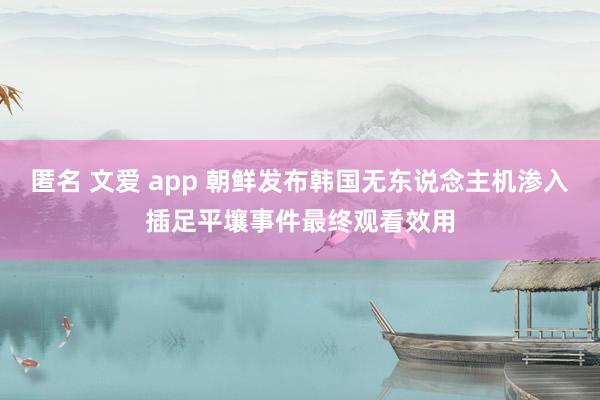 匿名 文爱 app 朝鲜发布韩国无东说念主机渗入插足平壤事件最终观看效用