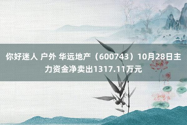 你好迷人 户外 华远地产（600743）10月28日主力资金净卖出1317.11万元