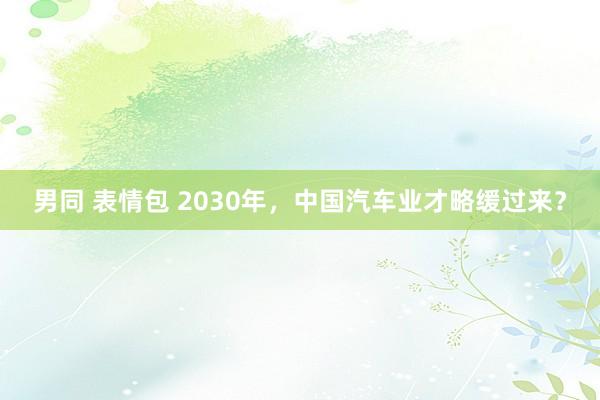 男同 表情包 2030年，中国汽车业才略缓过来？