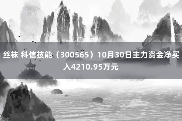 丝袜 科信技能（300565）10月30日主力资金净买入4210.95万元