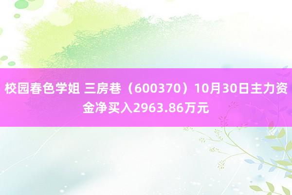 校园春色学姐 三房巷（600370）10月30日主力资金净买入2963.86万元