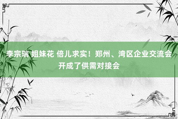 李宗瑞 姐妹花 倍儿求实！郑州、湾区企业交流会开成了供需对接会