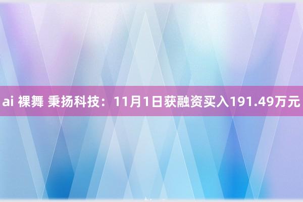 ai 裸舞 秉扬科技：11月1日获融资买入191.49万元