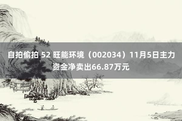 自拍偷拍 52 旺能环境（002034）11月5日主力资金净卖出66.87万元