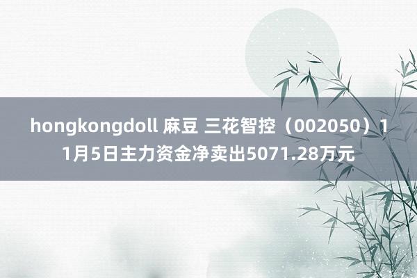 hongkongdoll 麻豆 三花智控（002050）11月5日主力资金净卖出5071.28万元