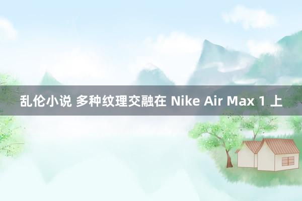 乱伦小说 多种纹理交融在 Nike Air Max 1 上