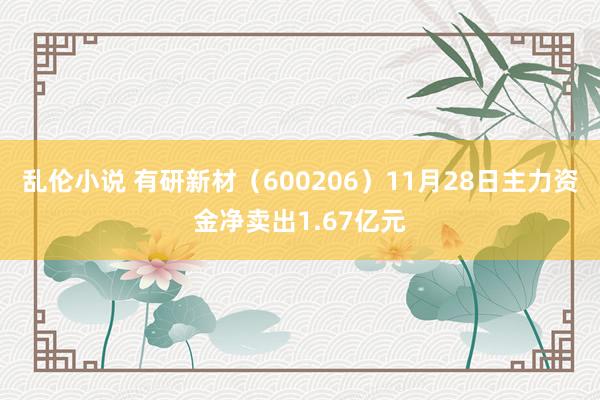 乱伦小说 有研新材（600206）11月28日主力资金净卖出1.67亿元