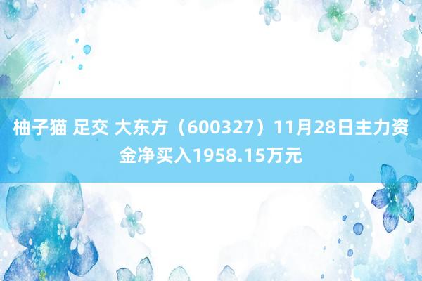 柚子猫 足交 大东方（600327）11月28日主力资金净买入1958.15万元