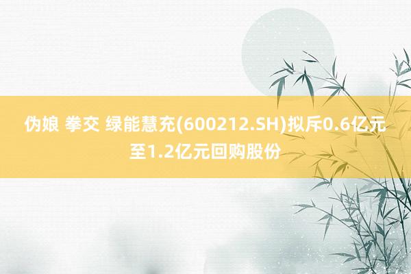 伪娘 拳交 绿能慧充(600212.SH)拟斥0.6亿元至1.2亿元回购股份