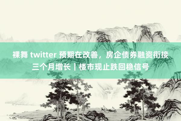 裸舞 twitter 预期在改善，房企债券融资衔接三个月增长｜楼市现止跌回稳信号