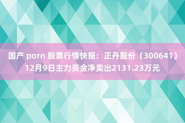 国产 porn 股票行情快报：正丹股份（300641）12月9日主力资金净卖出2131.23万元