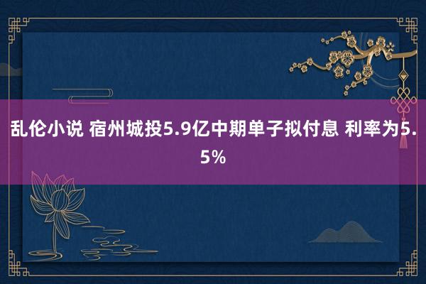 乱伦小说 宿州城投5.9亿中期单子拟付息 利率为5.5%