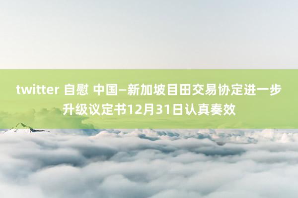 twitter 自慰 中国—新加坡目田交易协定进一步升级议定书12月31日认真奏效