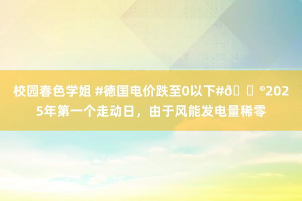 校园春色学姐 #德国电价跌至0以下#😮2025年第一个走动日，由于风能发电量稀零