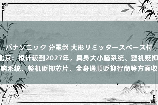 パナソニック 分電盤 大形リミッタースペース付 露出・半埋込両用形 北京：拟计较到2027年，具身大小脑系统、整机贬抑芯片、全身通顺贬抑智商等方面收场要紧碎裂