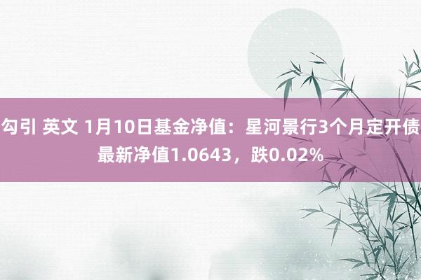 勾引 英文 1月10日基金净值：星河景行3个月定开债最新净值1.0643，跌0.02%