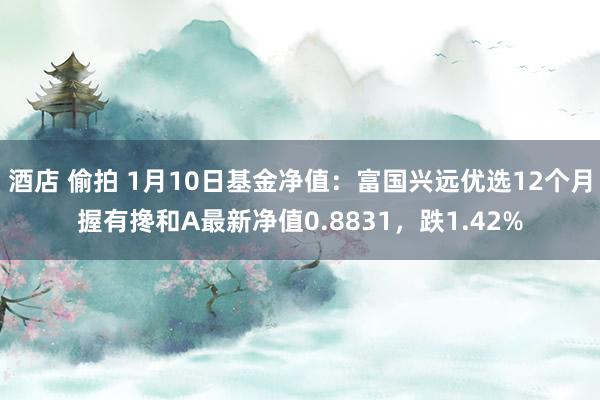 酒店 偷拍 1月10日基金净值：富国兴远优选12个月握有搀和A最新净值0.8831，跌1.42%