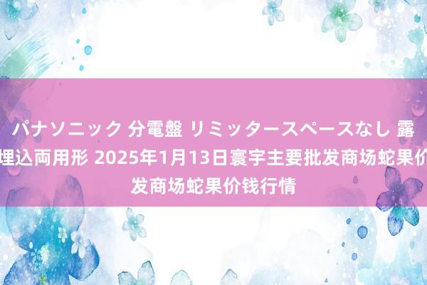 パナソニック 分電盤 リミッタースペースなし 露出・半埋込両用形 2025年1月13日寰宇主要批发商场蛇果价钱行情