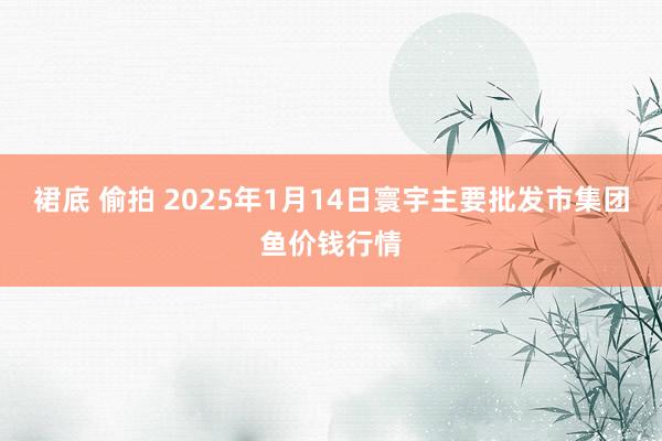 裙底 偷拍 2025年1月14日寰宇主要批发市集团鱼价钱行情